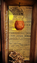 ~Spun Cotton Jack~O~lanterns & CAT~O~Lantern