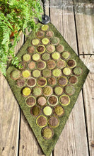 In The Mossy Wood Wool Applique Pattern