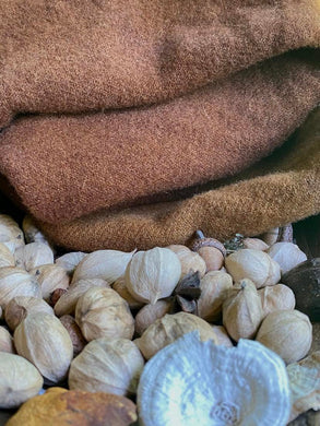 ~CHESTNUT~